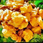 Best WALNUT SHIMP in Groton, CT